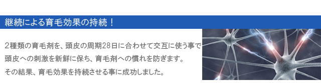 ���Ӻޤθ���