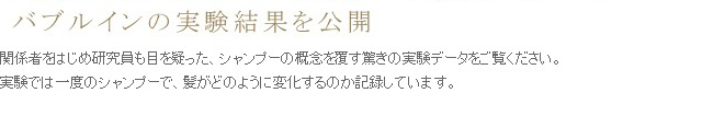 バブルインの実験結果を公開