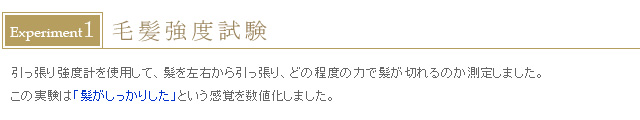 毛髪強度試験