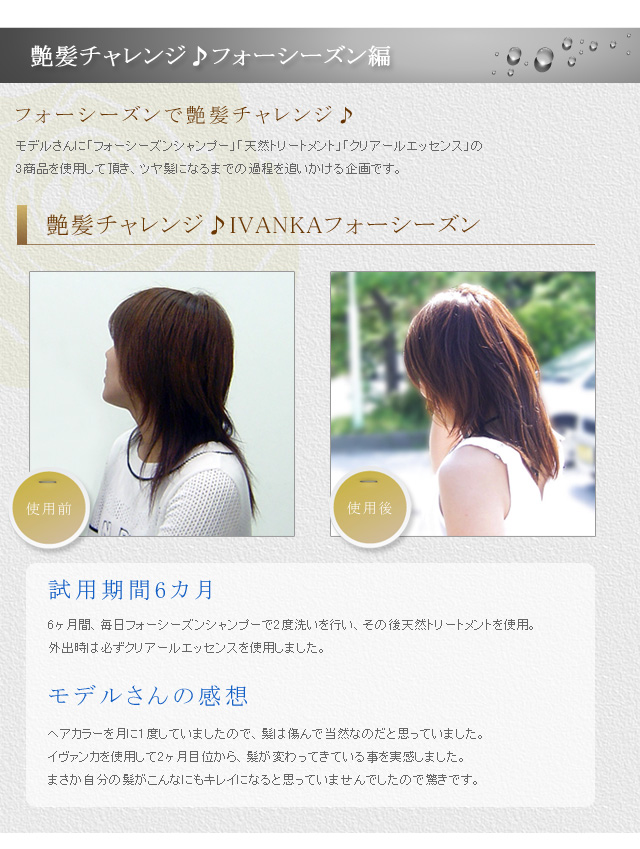 艶髪チャレンジ、ダメージ用フォーシーズン編