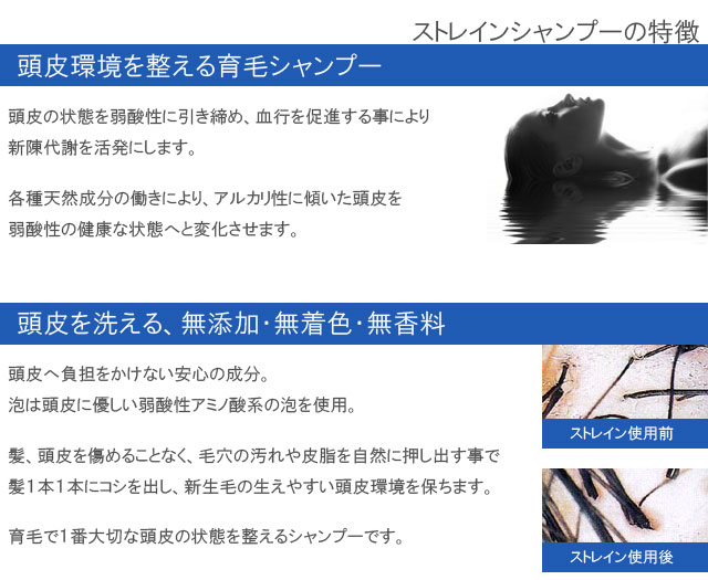 �������󥫰��ӥ����ס�����ħ