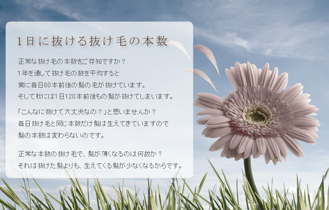 1����ȴ���롢ȴ���Ӥ��ܿ�